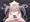 聖女
