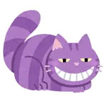 ドロワーズ大好き