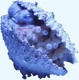 Ϙ