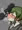 tn嗅ぎ