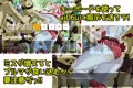 ai06u 〜アイノシメイ〜