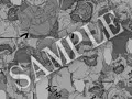 ケダモノ大工の育て方(2)