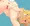 うさ検診