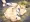 牛まこちゃん発情期