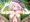 ユイ01