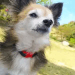 DAIGO★