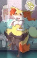 オナバレ