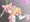 動画作りましたです