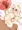ねこずえ「にゃっ!?」
