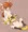 なのフェイ