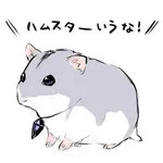 白樫