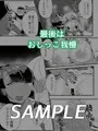 ブラインドシャインIF01 販売開始!