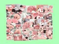 クラスメイトとセックス三昧