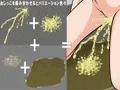 おしっこの元2 -おしっこ画像データ素材集-