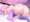 🍬ぷりんぷりんせす