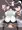 ぱこぱこ良玉ちゃん