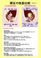 自分のふたなり設定