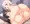 イリ美遊二人一緒に