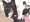 うちのこフェラ