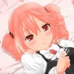 chip_Nawa