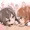 らくがき