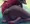 Zoroark