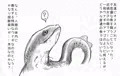 寄生ウナギを飼ってみた