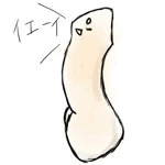 aoい