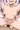 ラプ