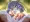 セルシウス