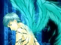 鴆