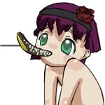 パルポル (parpol)