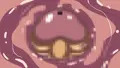 ベッキーちゃんの腸壁を擦るチ◯ポ