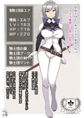 エルフ聖騎士団の崩壊【設定資料Ver.1.01】