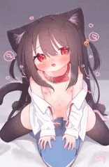 🦈🐈
