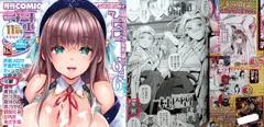 夢幻転生11月号&アキバBlogに掲載されました