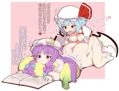 俺の中のふたなりぱちゅれみのイメージ