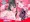 【新刊予告】愛した人は人間ではありませんでした