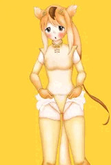 たくし上げキンシコウ