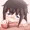 はむ
