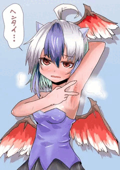 名無しの本読み腋妖怪ちゃん