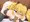 パキラ　フェラ