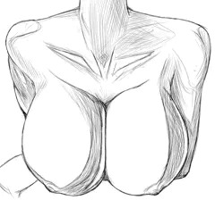 今日のおっぱい