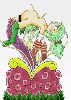 コノハ捕獲＆種付け
