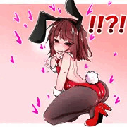 ろりばにきりたん