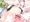 秋津洲ちゃんのいけないくぱぁ