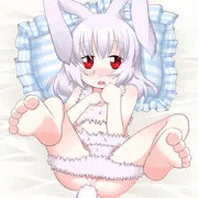 我が家の発情うさぎちゃん