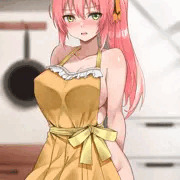 頼んだら裸エプロンしてくれた。