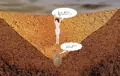 巨大アリジゴクの巣に落ちたしずかちゃん(笑)