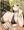 犬山あおいちゃん